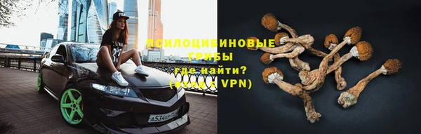мяу мяу мука Армянск