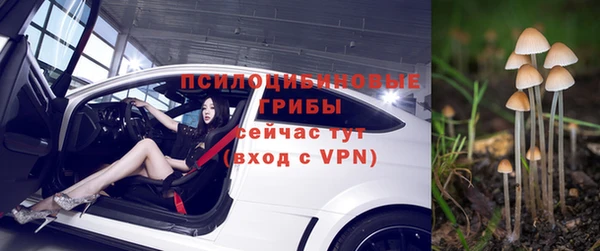герыч Алексин